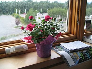 IMG_0003.jpg