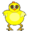 Chicky by Maria